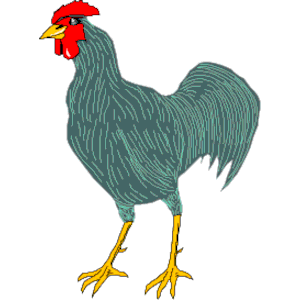Rooster Blue