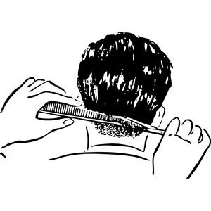 shears and comb 3