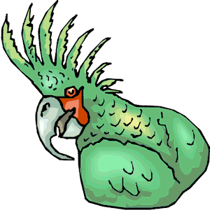 Parrot 19