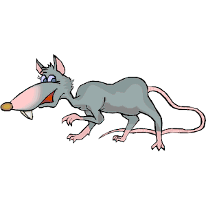 Rat Walking