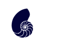 Blue Nautilus Shell