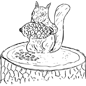 Squirrel eating pine cone