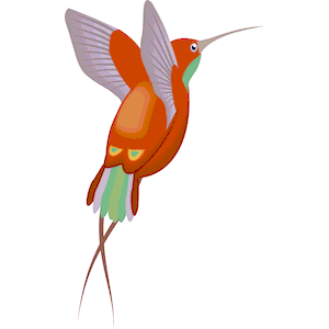 Hummingbird 05