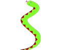 Green snake with red belly