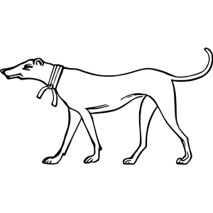 Dog 4