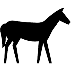 Horse 10
