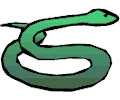 Snake 02