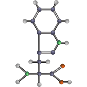 Tryptophan (amino acid)