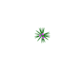 daylily 0 symbol 1m bwh