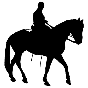 Man Riding Horse Silhouette