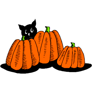 Pumpkins Cat