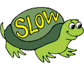 Slow Turtle