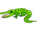 Alligator 10