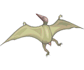 Pterodactylus 4