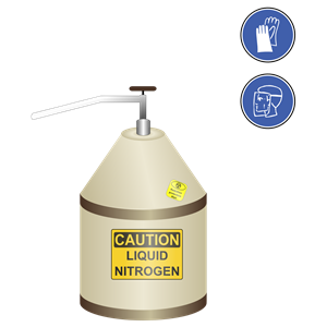 Dewar flask with liquid nitrogen