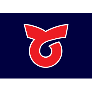Flag of Toi, Hokkaido