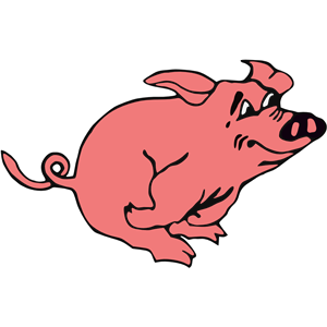 Running pig