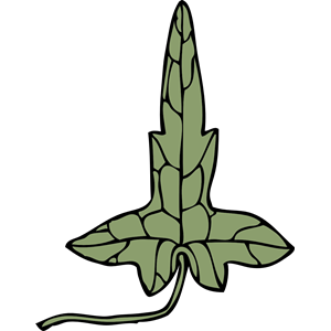ivy leaf 8