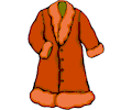 FurLined Coat
