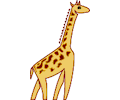 Giraffe 06