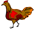 Chicken 09