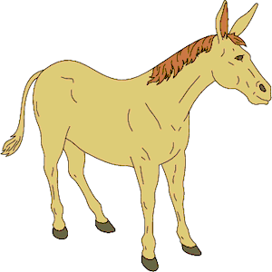 Donkey 03