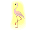 Flamingo 14