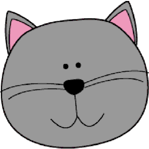 Gray cat head