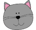 Gray cat head