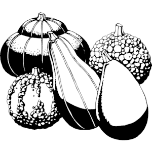 Gourds - Decorative