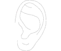 Ear 04