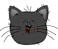 catface4