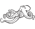 Coloring Book Octopus