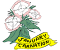01 January - Carnation