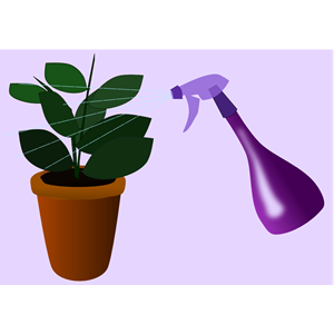 Caring for Houseplants