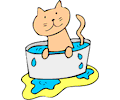 Cat in Water