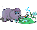 Elephant Watering Flowers