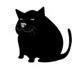 Black Cat / Gato Negro