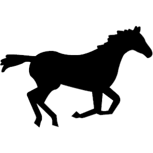 Horse 05