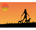 Woman Walking Dogs At Sunset