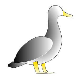 jonathon s duck 01