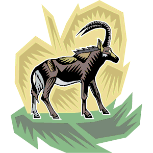 Antelope 009