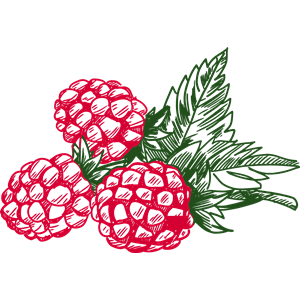 Raspberry 4