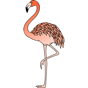 Flamingo 3 (colour)