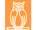 Owl 43