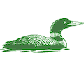 Duck 10