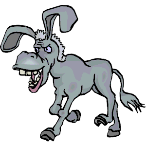 Donkey - Mean