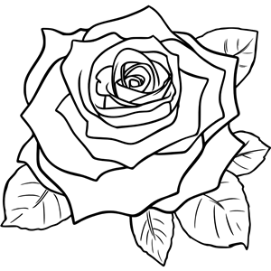 Vintage Flower Rose