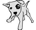 dog 03 drawn with strai 02