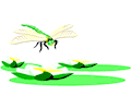 Dragonfly 008